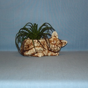 Sleeping Cat Planter, Succulent Planter, Herb Pot, Cactus Planter, Yadro Print, Tortoiseshell