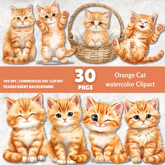 Orange Cat Watercolor Clipart, Cute Kitten Watercolor Clipart for Mug & Planner, Orange Cat PNG Clipart 300 DPI