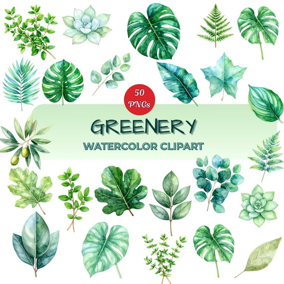 Watercolor Greenery Clipart: Botanical Leaves PNG (Digital Download)