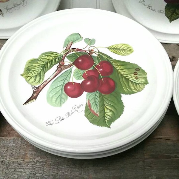 Portmeirion of England Pomona pattern Single Dinner Plate designed by Susan Williams Ellis in the Late Duke Cherry hard to find no border.