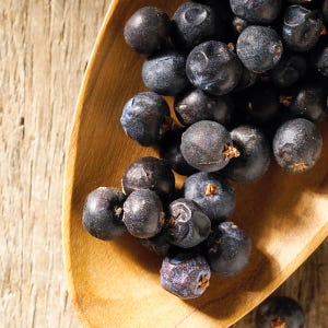 Wacholderbeere Samen (20 Beeren)