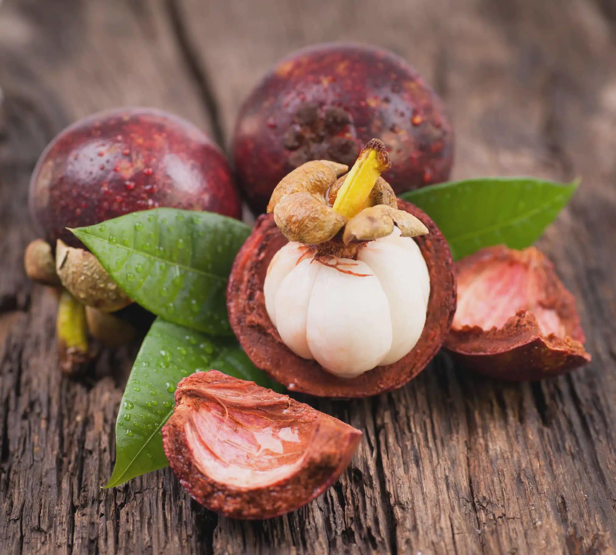 Mangosteen seeds - Etsy 日本