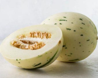 Melo1612 Dino Melon Snowball White Melon Fruits 5 Seeds - Etsy Canada