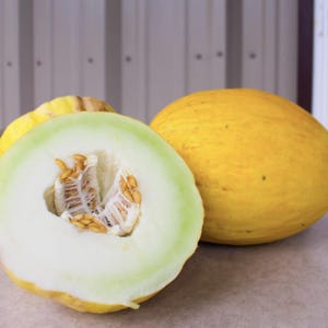 Kanarische Melonenkerne Kombiversand