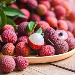 Lychee fruit tree seeds, Litchi chinensis - Combined shipping