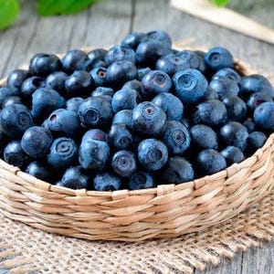 bilberry seeds