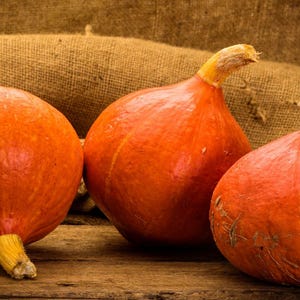 May include: Three vibrant orange pumpkins with textured skin rest on a wooden surface. The pumpkins vary in shape, with stems of yellow and brown. A burlap backdrop adds a rustic touch, perfect for autumn decor.