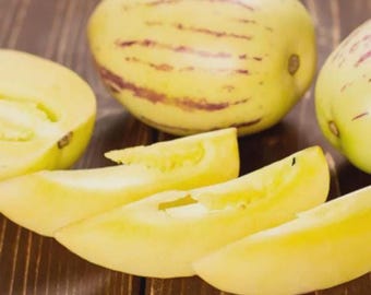 SEEDS Rare Pepino dulce melon heirloom seeds, Combined shipping