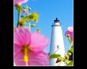 Ocracoke Island Lighthouse Pink marshmallow flowers Photographic Print matted in black North Carolina