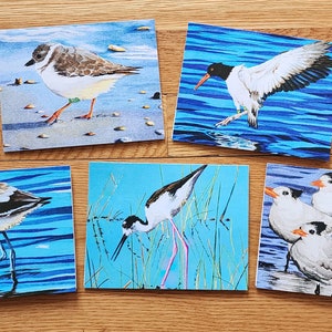 Bird Art Note Card set shorebirds oystercatcher plover plus envelopes pack of 10 image 1