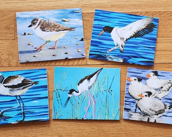 Bird Art Note Card set shorebirds oystercatcher plover plus envelopes pack of 10