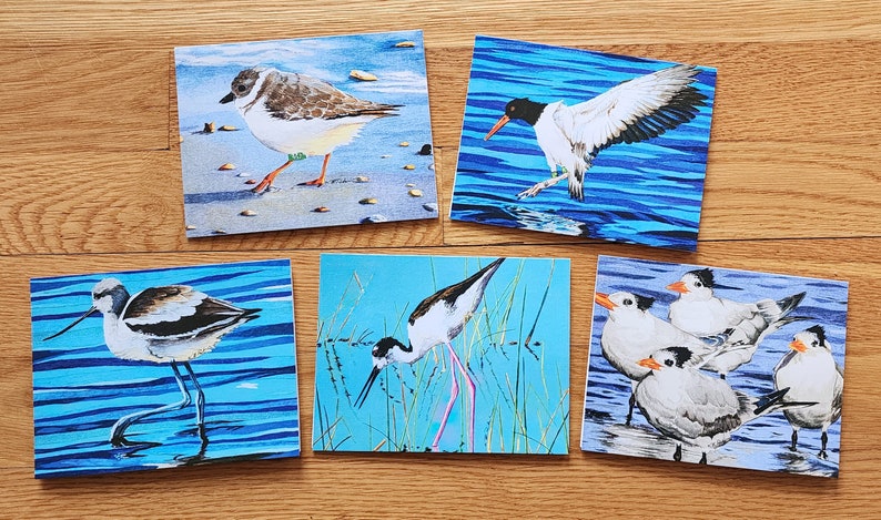 Bird Art Note Card set shorebirds oystercatcher plover plus envelopes pack of 10 image 1