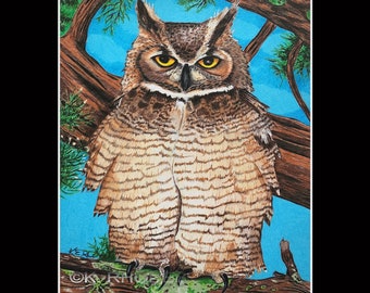 11x14 Great Horned Owl Matted and signed Print Ocracoke North Carolina