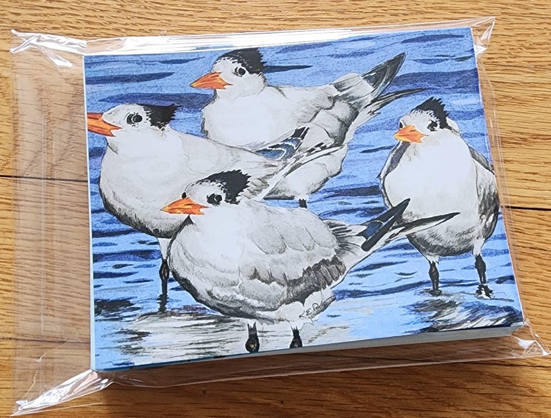 Bird Art Note Card set shorebirds oystercatcher plover plus envelopes pack of 10 image 2