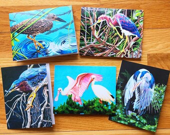 Bird Art Note Card set Herons Ibis and Spoonbill plus envelopes pack of 10