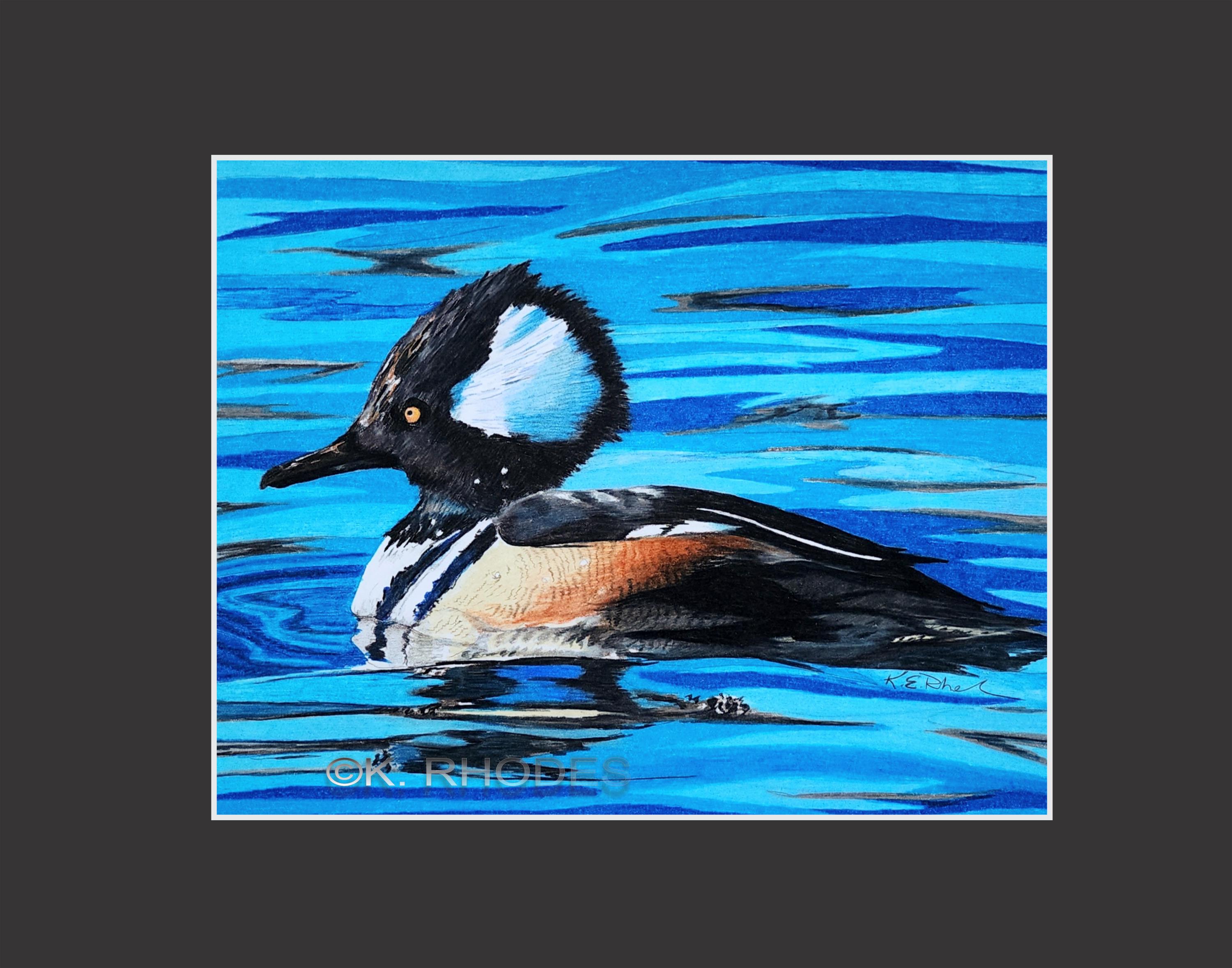 Décoration Murale Textile - Garrot à Capuchon (Hooded Merganser) - Occasion