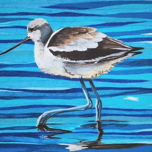 Bird Art Note Card set shorebirds oystercatcher plover plus envelopes pack of 10 image 8