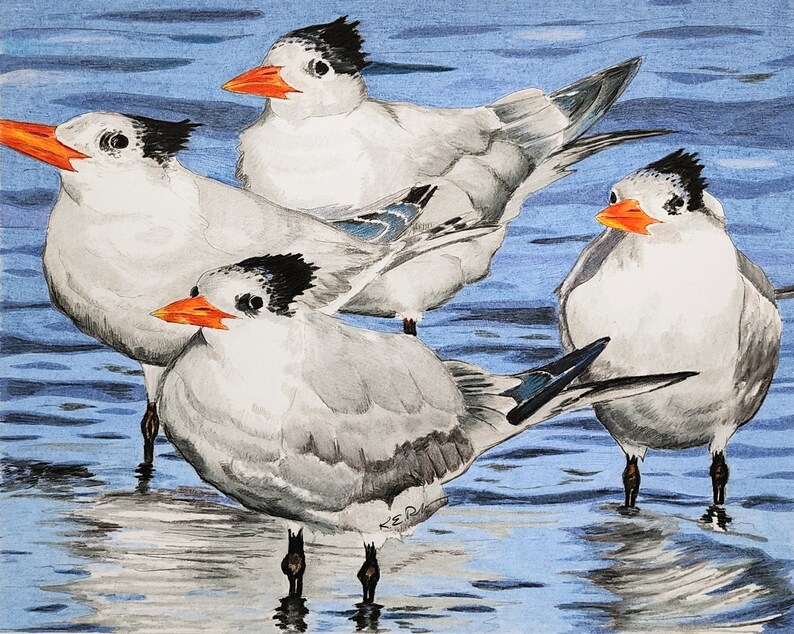 Bird Art Note Card set shorebirds oystercatcher plover plus envelopes pack of 10 image 9