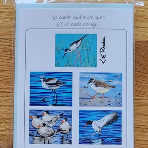 Bird Art Note Card set shorebirds oystercatcher plover plus envelopes pack of 10 image 4