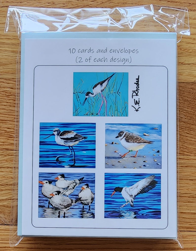 Bird Art Note Card set shorebirds oystercatcher plover plus envelopes pack of 10 image 4