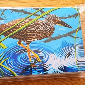 Bird Art Note Card set Herons Ibis and Spoonbill plus envelopes pack of 10 image 4