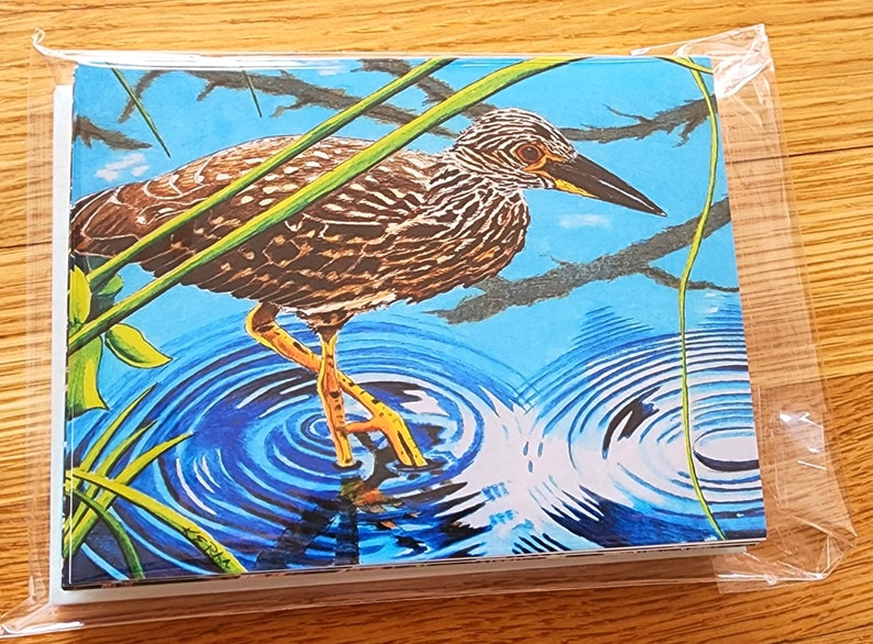 Bird Art Note Card set Herons Ibis and Spoonbill plus envelopes pack of 10 image 4