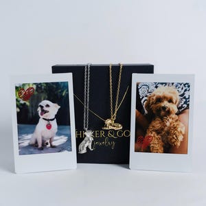 Aangepaste 3D-huisdierketting, replicahanger kleine huisdier, sterlingzilver of 18 kt goud, gepersonaliseerde huisdieraandenken, herdenkingssieraden