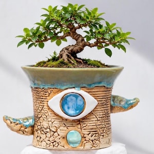 May include: A small bonsai tree with green leaves and a thick, textured trunk planted in a ceramic pot. The pot features a tan, crackled glaze finish, a blue drip rim, and decorative sculpted eye motifs with blue centres on the front surface.