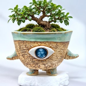 Op de afbeelding: Een kleine groene bonsaiboom geplant in een getextureerde, beige keramische pot met een craquelé afwerking. De pot heeft een centraal blauw oogmotief, twee kleine zijarmen en twee korte pootjes, met een gladde lichtblauwe rand bovenaan.