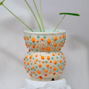 May include: A cream-coloured ceramic planter, decorated with orange and teal raised dots. The planter holds a green plant with long stems and leaves. The planter sits on a white, textured, stone-like base.