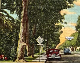 Santa Monica, California CA - Residential Street Scene Classic Cars Vintage Postcard