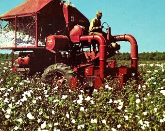 Greeting from Lynne, Arkansas AK, Cotton Picker Agriculture machinery Vintage Chrome Postcard 1960's
