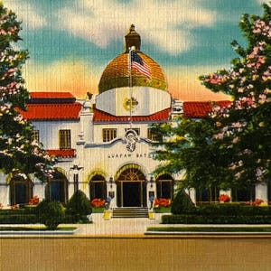 May include: Vintage postcard featuring the Quapaw Baths in Hot Springs National Park, Arkansas. The building has a large dome and an American flag. Lush trees frame the building, and the sky is a mix of blue and yellow. The text reads "Quapaw Baths..."