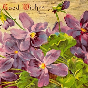 Antique Happy Birthday Pansy Flower Floral Card Vintage Postcard