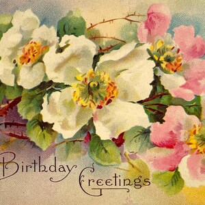 Antique Birthday Greetings Wild Rose Flower Floral Vintage Postcard