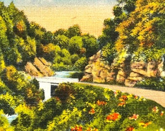 Vintage Pacolet River Linen Postcard: North Carolina Highway, 1940s