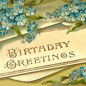 Antique 1908 Birthday Greetings Floral Forget me Nots Embossed Vintage Postcard