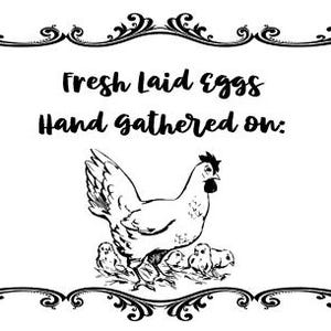 Fresh Egg Carton Label Downloadable, Editable Doc File