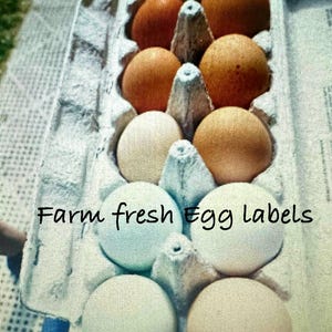 Farm Eggs Carton Labels * Date * Address* 30 per sheet EDITABLE