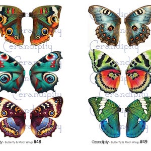 May include: A collection of six butterfly and moth wing illustrations in various colors. The wings feature intricate patterns and details, with shades of blue, green, orange, and brown. The text "Cerandipity - Butterfly & Moth Wings #48" and "Cerandipity - Butterfly & Moth Wings #49" is visible.