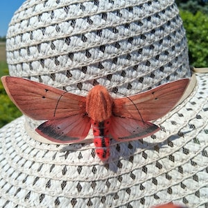 May include: A cream-colored sun hat with a woven design, adorned with a decorative moth. The moth features reddish-brown wings with black accents and a fuzzy orange body. The hat's brim is trimmed with a light-colored band.