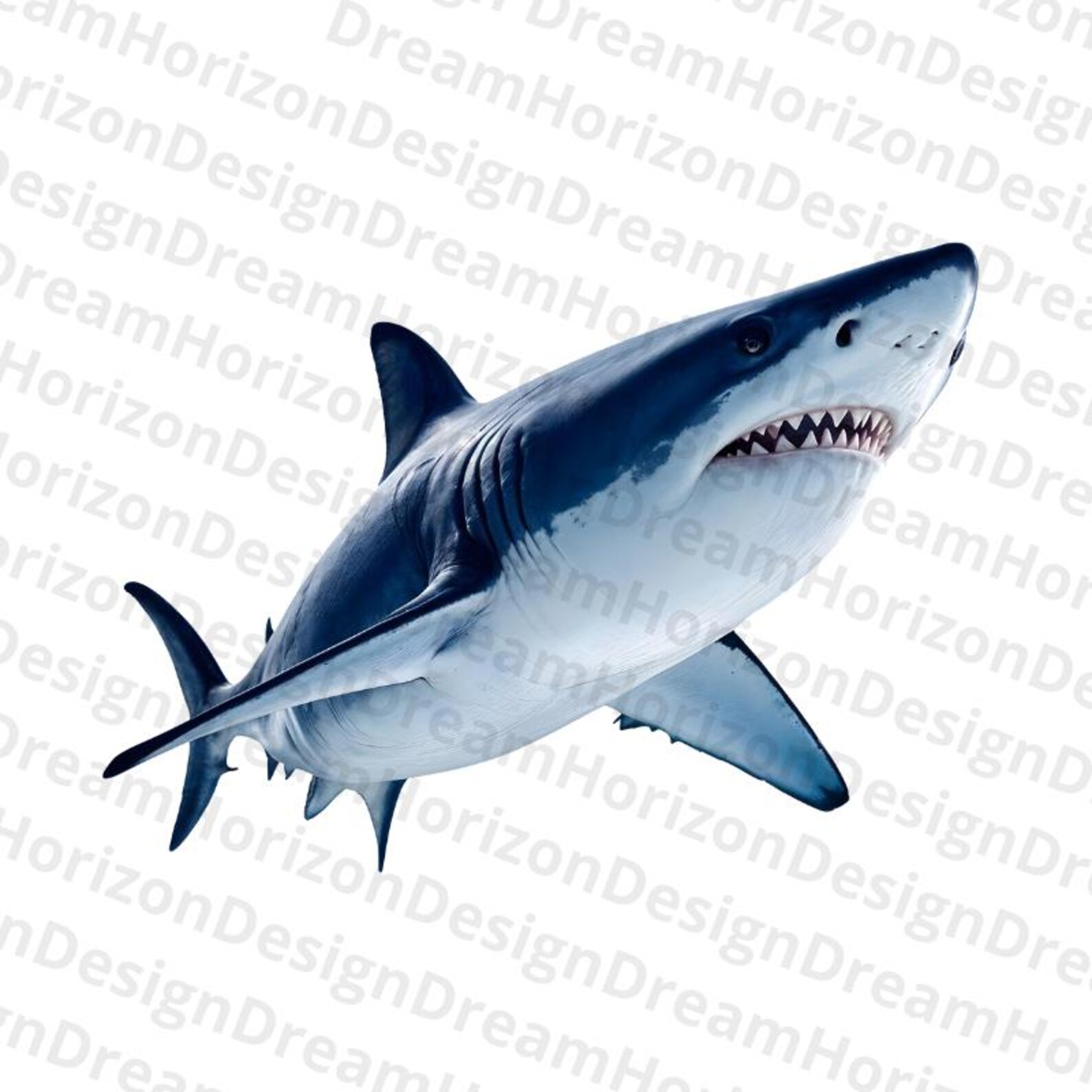 White Shark Clipart Bundle, 10 High-quality Pngs Transparent ...