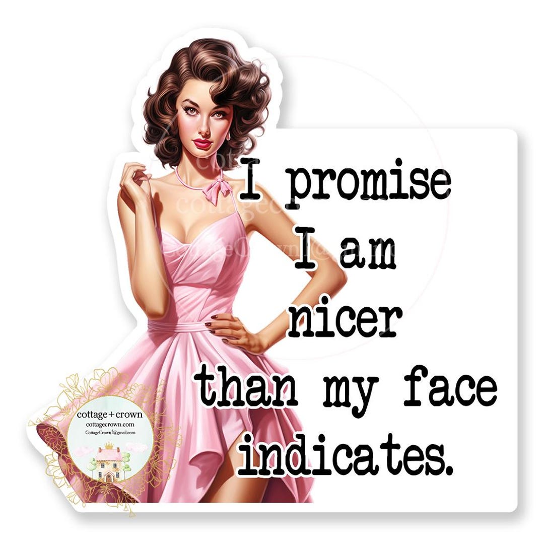 I Promise I Am Nicer Than My Face Indicates Vinyl Retro Sticker - Etsy