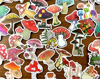 10 Random Mushroom Stickers - diary stickers / journaling stickers / cute stickers / sticker set / mushrooms