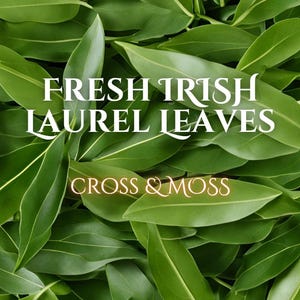 May include: Close-up of fresh green laurel leaves with the text "FRESH IRISH LAUREL LEAVES" and "CROSS & MOSS" in white and gold lettering.