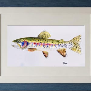 Rainbow Trout Watercolor Print – Freshwater Fly Fishing Art