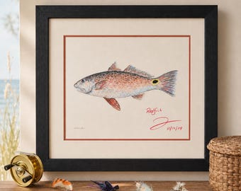 Redfish Art Print Set of 2 – Hand Signed Pastel Fishing Wall Art
