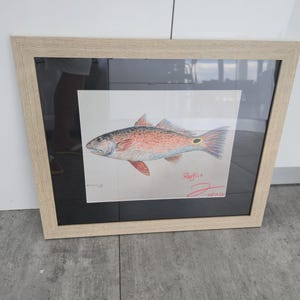 Limited Edition Redfish Art Print – Coastal Wall Decor, Fly Fishing Gift for Anglers, Redfish Illustration - Worries End Edition