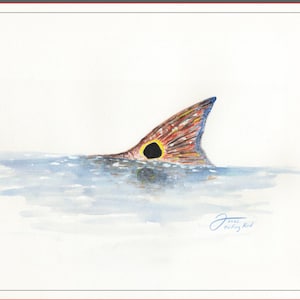 Tailing Redfish Watercolor Print – Saltwater Fly Fishing Art, Inshore Coastal Decor, Gift for Anglers
