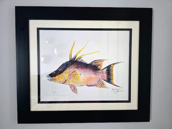 魚の水彩画額縁付き 美術品・アンティーク・コレクション 魚の水彩画額縁付き